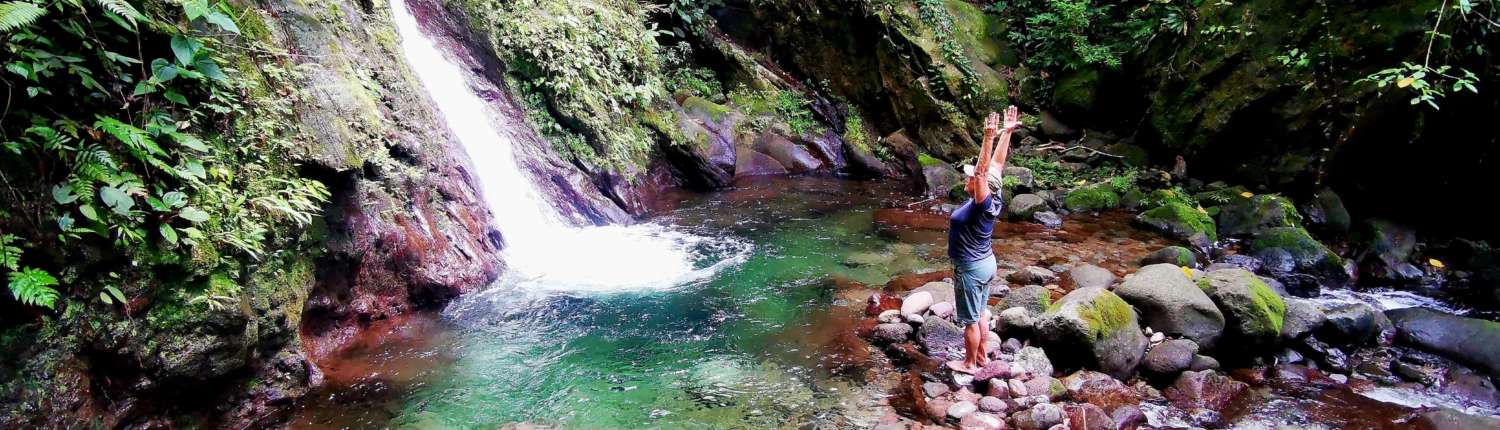 Imagen de WhatsApp 2025-03-05 a las 15.13.50_f1885010