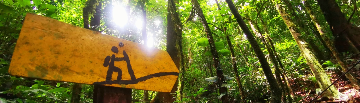 Imagen de WhatsApp 2025-03-05 a las 15.16.28_9df9d298